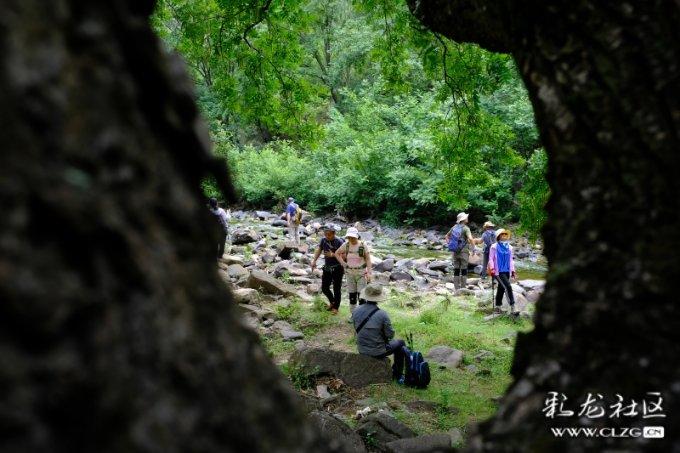 连花清瘟线上线下差价50元、布洛芬缺货，为何会造成这一现象？游戏画面